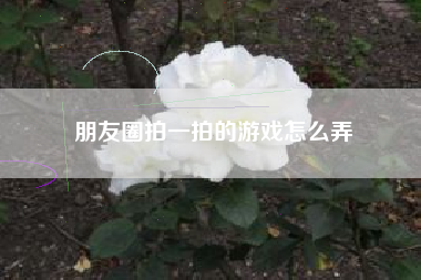 朋友圈拍一拍的游戏怎么弄