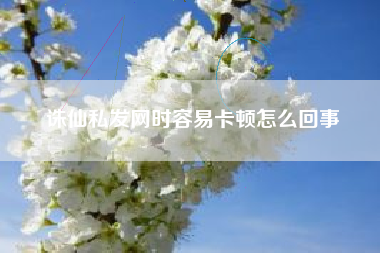 诛仙私发网时容易卡顿怎么回事