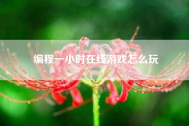 编程一小时在线游戏怎么玩