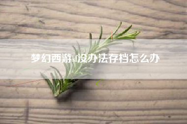 梦幻西游sf没办法存档怎么办