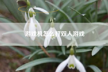 游戏机怎么打双人游戏