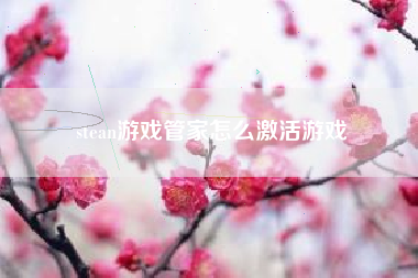 stean游戏管家怎么激活游戏