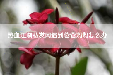 热血江湖私发网遇到爸爸妈妈怎么办