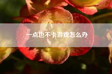 一点也不卡游戏怎么办