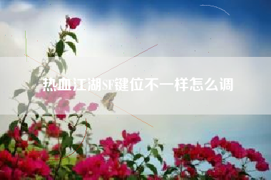 热血江湖SF键位不一样怎么调