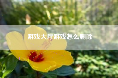 游戏大厅游戏怎么删除