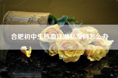 合肥初中生热血江湖私发网怎么办