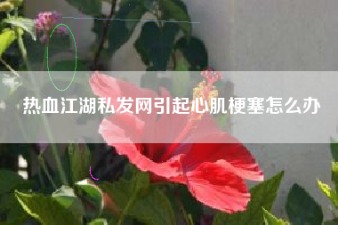 热血江湖私发网引起心肌梗塞怎么办