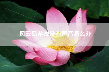 风云岛游戏没有声音怎么办