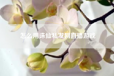 怎么用诛仙私发网直播游戏