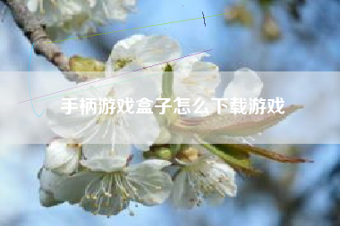 手柄游戏盒子怎么下载游戏