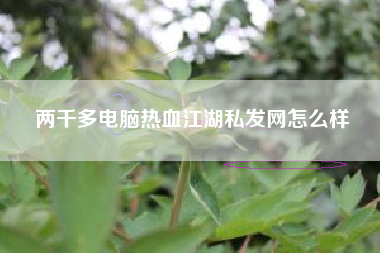 两千多电脑热血江湖私发网怎么样