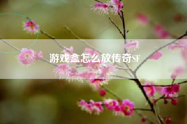 游戏盒怎么放传奇SF