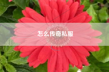 怎么传奇私服