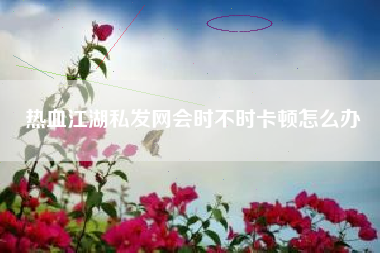 热血江湖私发网会时不时卡顿怎么办