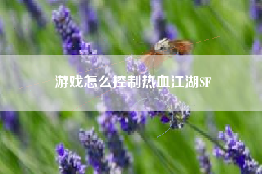 游戏怎么控制热血江湖SF