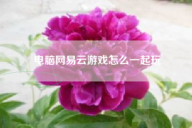 电脑网易云游戏怎么一起玩