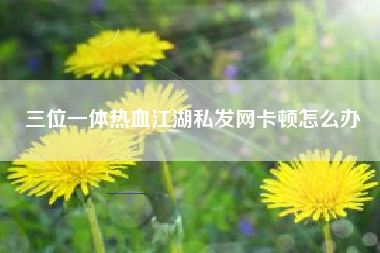 三位一体热血江湖私发网卡顿怎么办  第1张