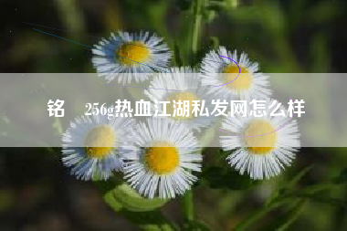 铭瑄256g热血江湖私发网怎么样  第1张