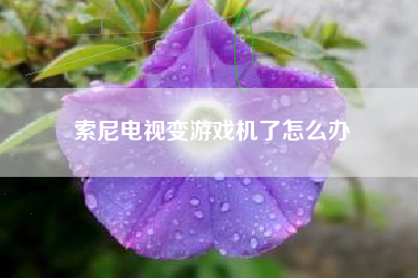 索尼电视变游戏机了怎么办