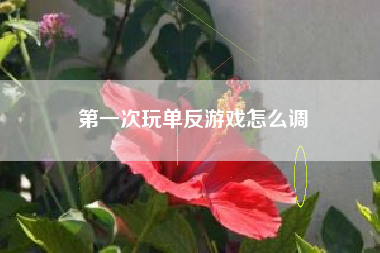第一次玩单反游戏怎么调