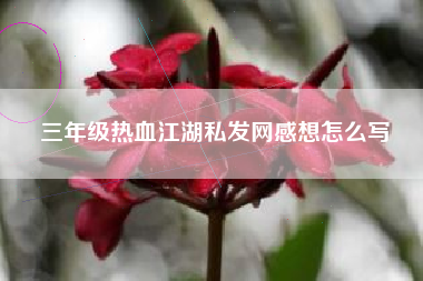 三年级热血江湖私发网感想怎么写