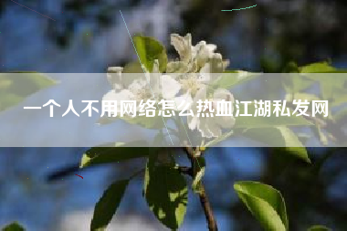 一个人不用网络怎么热血江湖私发网