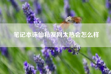 笔记本诛仙私发网太热会怎么样  第1张