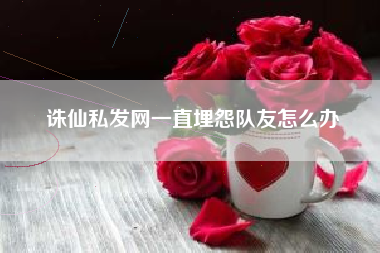 诛仙私发网一直埋怨队友怎么办