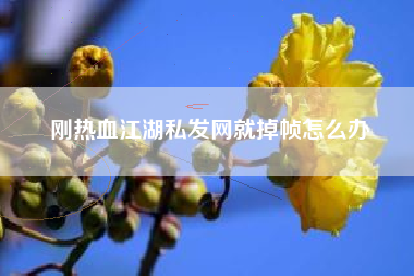 刚热血江湖私发网就掉帧怎么办  第1张