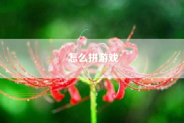 怎么拼游戏