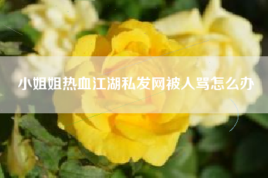 小姐姐热血江湖私发网被人骂怎么办