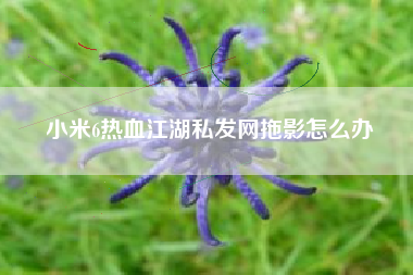 小米6热血江湖私发网拖影怎么办