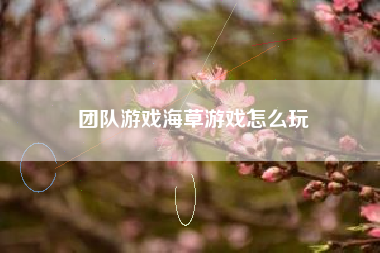 团队游戏海草游戏怎么玩