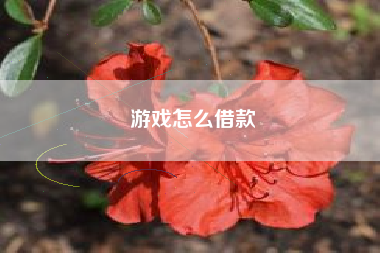 游戏怎么借款