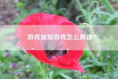 游戏加加游戏怎么测评