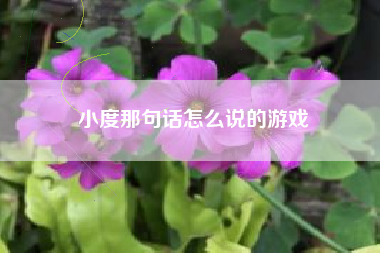 小度那句话怎么说的游戏