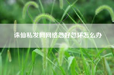 诛仙私发网网络忽好忽坏怎么办