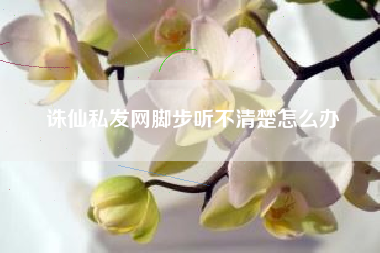 诛仙私发网脚步听不清楚怎么办