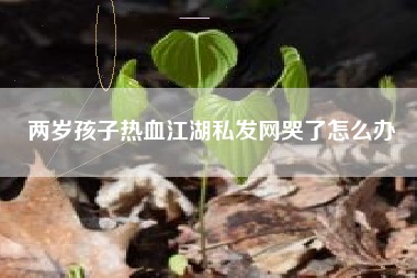 两岁孩子热血江湖私发网哭了怎么办  第1张