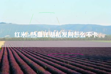 红米3s热血江湖私发网怎么不卡