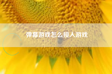 弹幕游戏怎么接入游戏