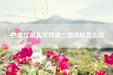 热血江湖私发网里三国战纪怎么玩
