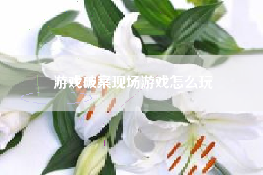 游戏破案现场游戏怎么玩