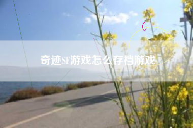 奇迹SF游戏怎么存档游戏