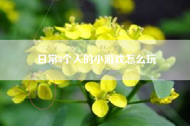 日常3个人的小游戏怎么玩