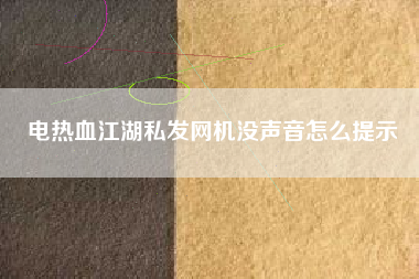 电热血江湖私发网机没声音怎么提示