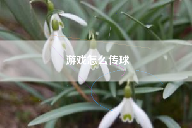 游戏怎么传球