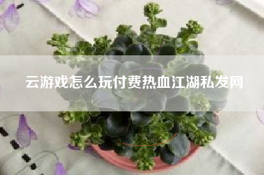 云游戏怎么玩付费热血江湖私发网