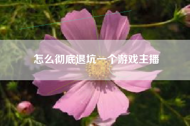 怎么彻底退坑一个游戏主播